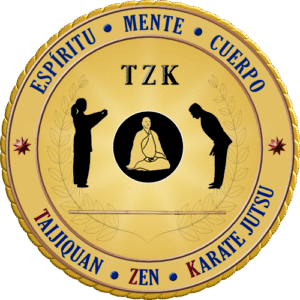 logo-sistema tzk